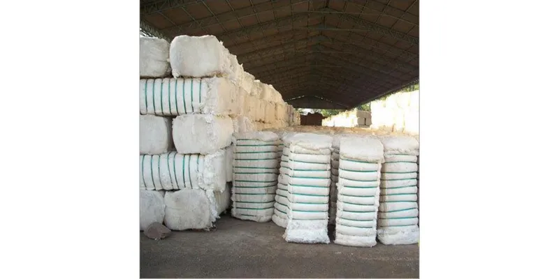 Textile Industry Welcomes Temporary Exemption of Cotton Import Duty Until October 31, 2026